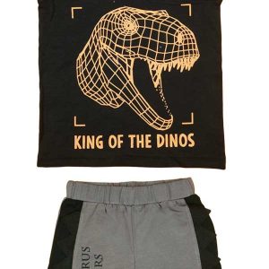 Dinoszauruszos kisfiú nyári szett