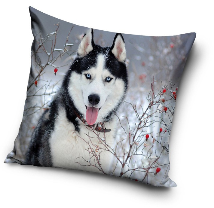 Kutyás Husky párnahuzat 40x40 cm