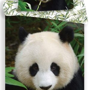Panda Forest ágyneműhuzat 140×200cm, 70×90 cm