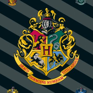 Harry Potter Crest polár takaró 100x150cm