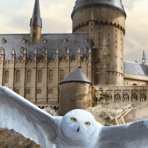 Harry Potter Hedwig Fly fürdőlepedő, strand törölköző 70x140cm