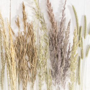 Természet Golden Harvest A/4 gumis mappa
