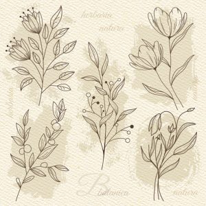 Virág Beige Illustration szalvéta 20 db-os 33x33 cm