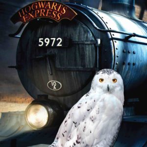 Harry Potter Hedwig fürdőlepedő, strand törölköző 70x140cm